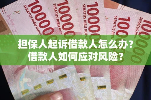 济南担保人起诉借款人怎么办？借款人如何应对风险？