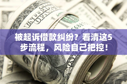 济南被起诉借款纠纷？看清这5步流程，风险自己把控！